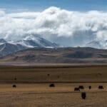 W krainie Inków: Odkryj Peru z ekspertem